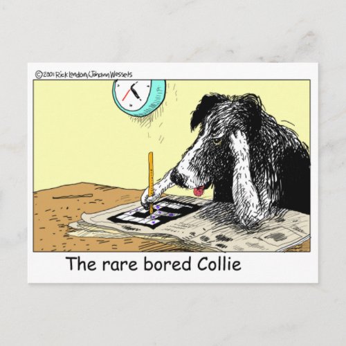 Bored Border Collie Funny Gifts Tees Collectibles Postcard