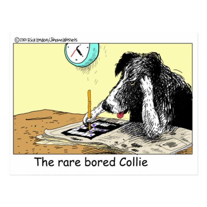 Bored Border Collie Funny Gifts Tees Collectibles Postcards