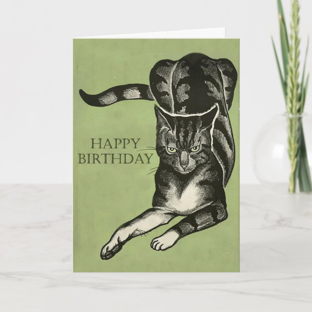 Bored Cat Drawing - Happy Birthday Or Whatever Card (Front)