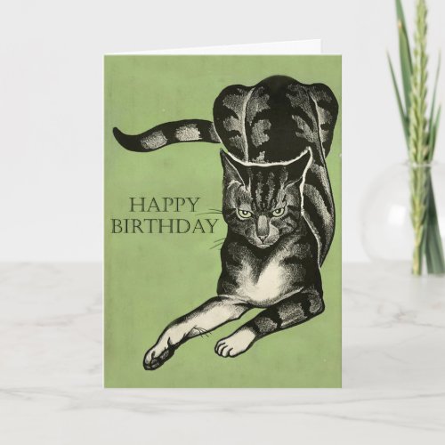 Bored Cat Drawing _ Happy Birthday Or Whatever Card