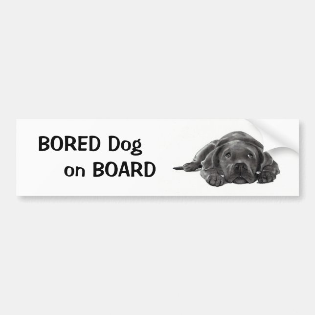 BORED DOG ON BOARD: Pencil Art Bumper Sticker (Front)