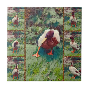Bored Duck Photo Collage, Ceramic Tile