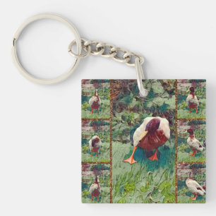 Bored Duck Photo Collage, Keyring