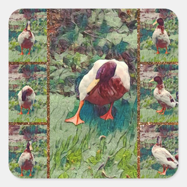 Bored Duck Photo Collage, Square Stickers (Front)