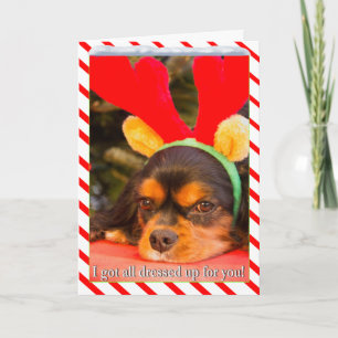 Bored King Charles Spaniel Reindeer Christmas Card