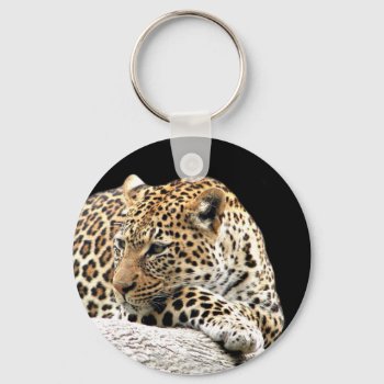 Bored Leopard Keychain by deemac1 at Zazzle