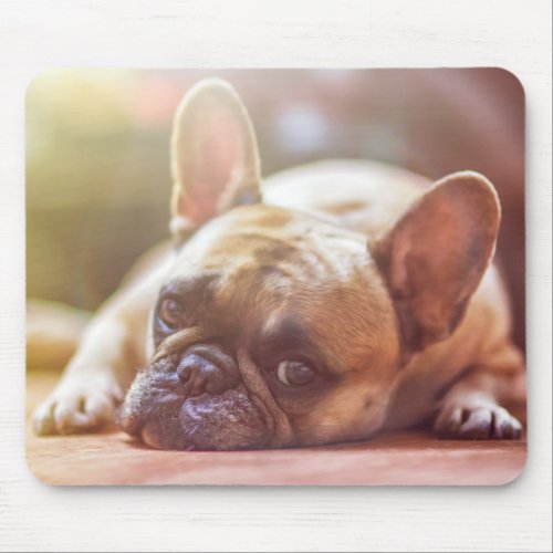 Bored Puppy Child Mouse Pad