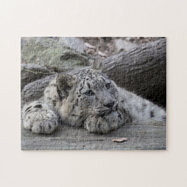 Bored Snow Leopard Cub Jigsaw Puzzle (Horizontal)