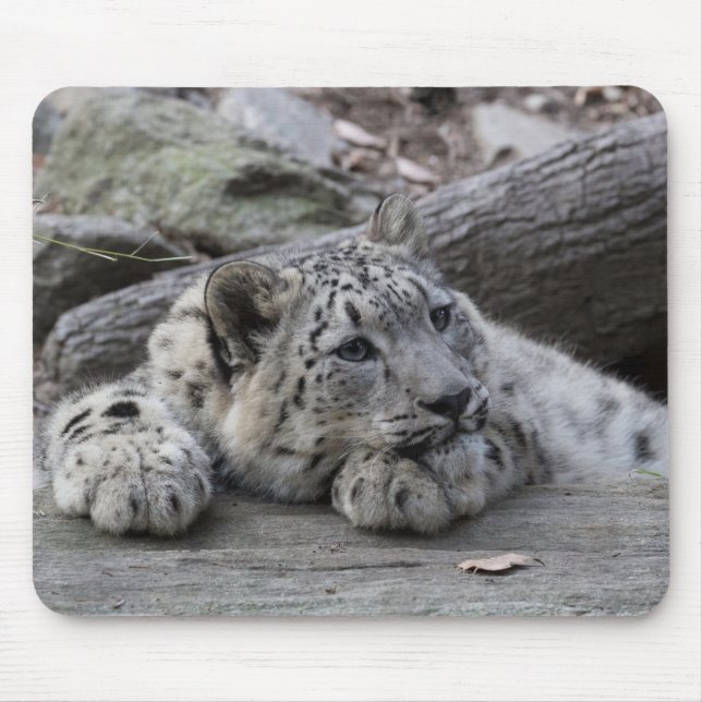 Bored Snow Leopard Cub Mouse Pad (Front)
