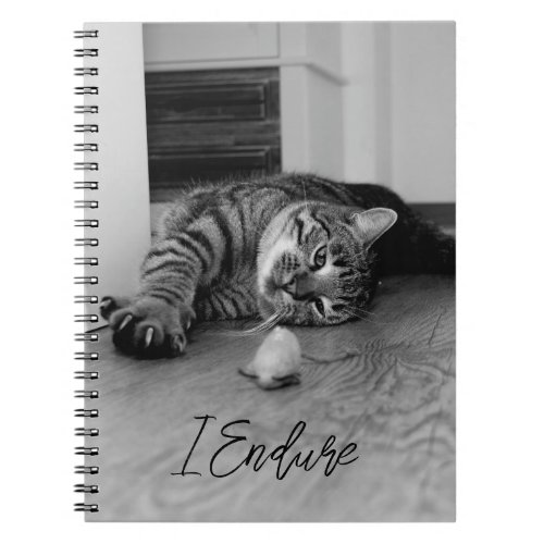 Bored Tabby Cat Lying on Side Staring at Toy Mouse Notebook