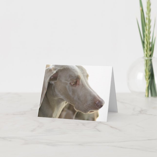 Bored Weimaraner Note Card (Front)