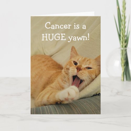 Bored With Cancer Funny Cat Card