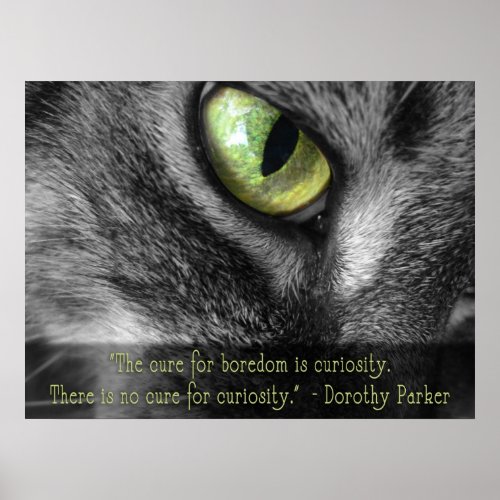 Boredom _ Curiosity Dorothy Parker quote poster