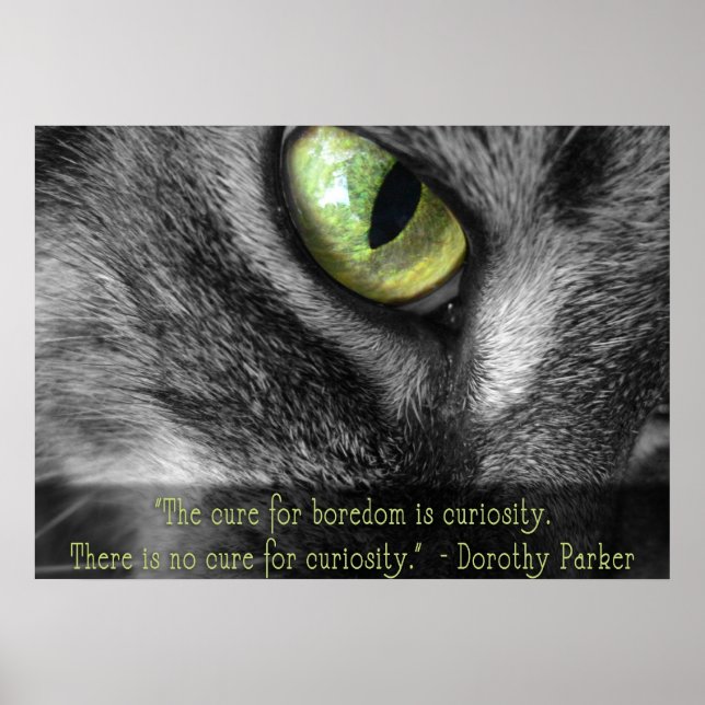 Boredom - Curiosity, Dorothy Parker quote poster (Front)