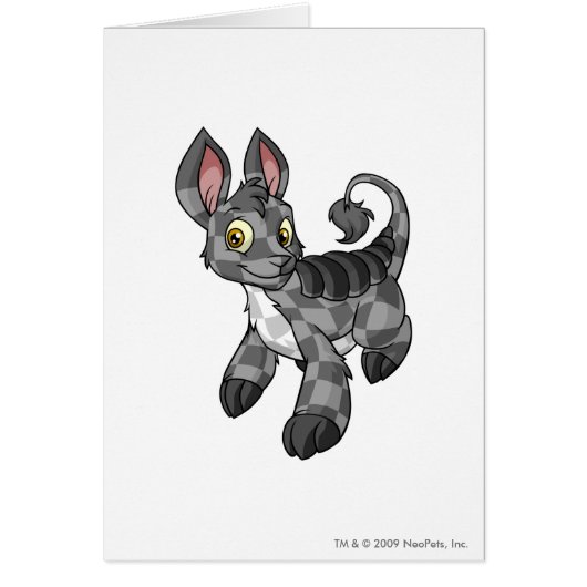 Bori Checkered Cards (Front)