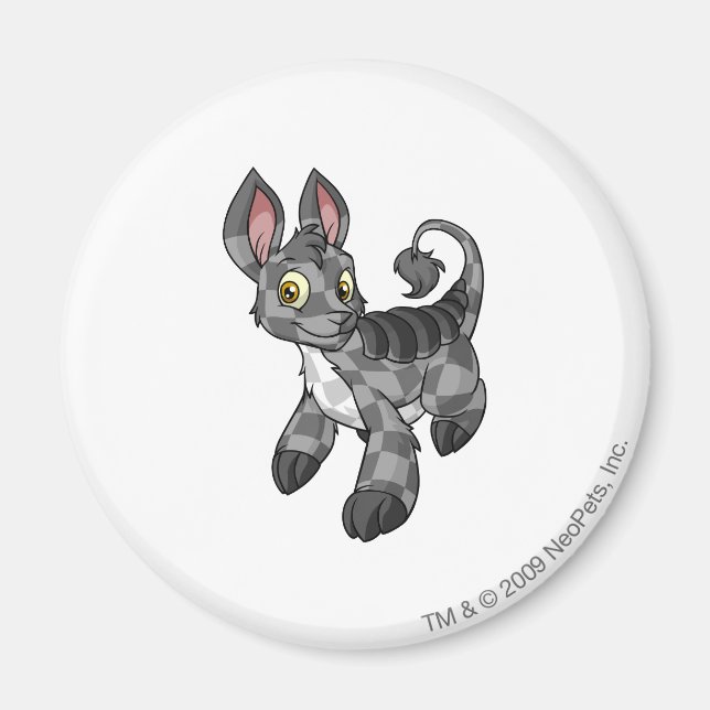 Bori Checkered Magnet (Front)