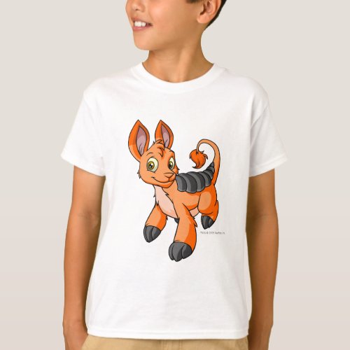 Bori Orange T_Shirt