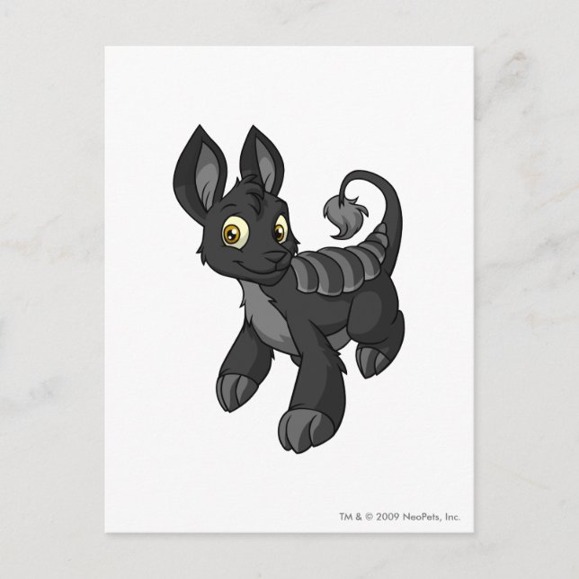 Bori Shadow Postcard (Front)