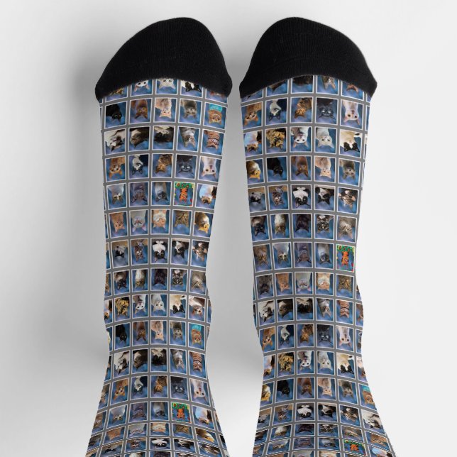 Boring Group Cat Yearbook Socks (Top)