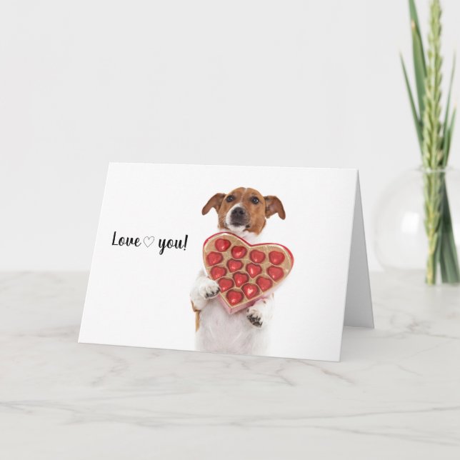 Boris - Jack Russell Terrier - Card (Front)