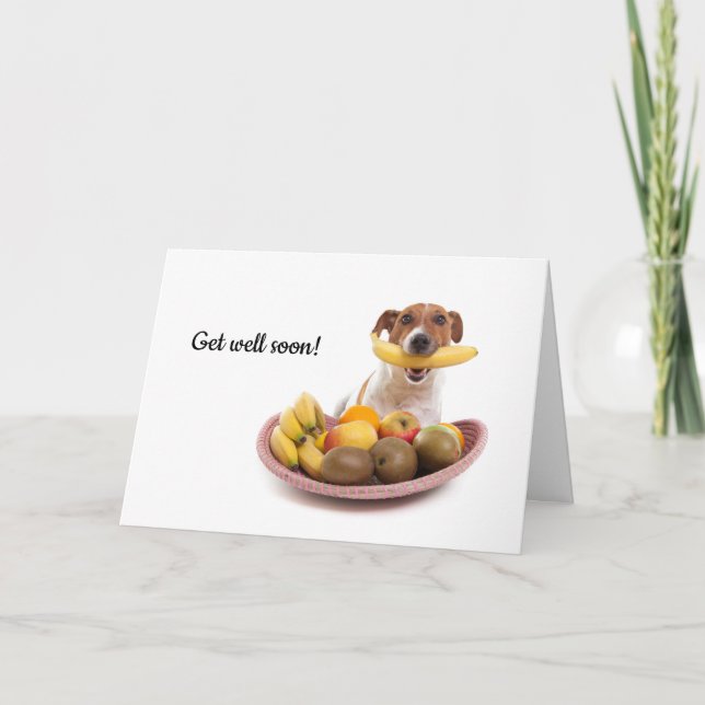 Boris - Jack Russell Terrier - Get well soon card (Front)