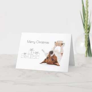 Boris - Jack Russell Terrier - Merry Christmas Holiday Card