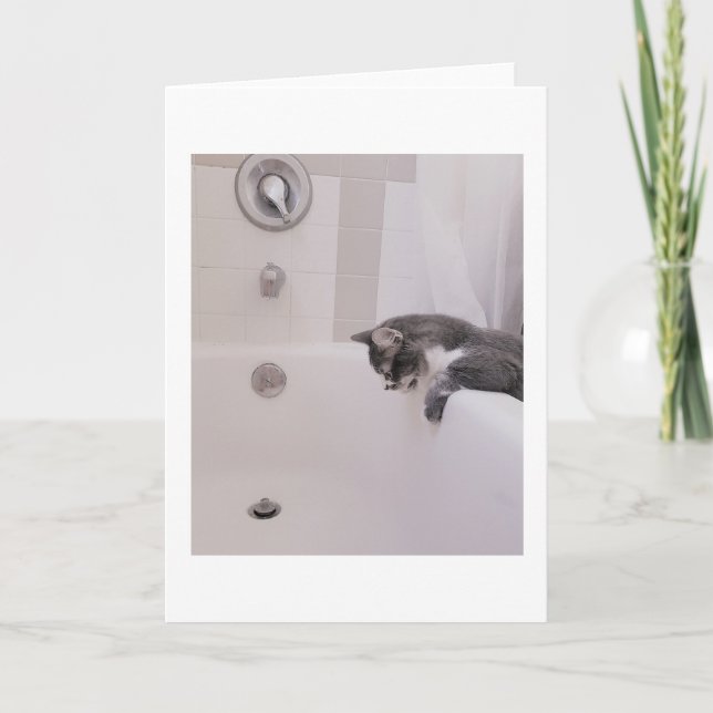 Boris the Cute Nubber Kitty Greeting Card (Front)