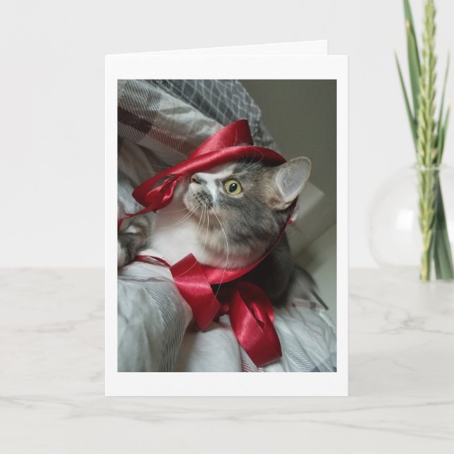 Boris the Cute Nubber Kitty Holiday Cards (Front)