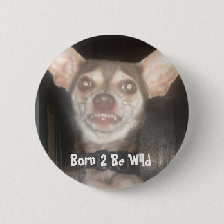 Born 2 Be Wild Pinback Button