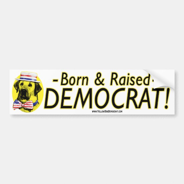Born And Raised Democrat - Yellow Dog Bumper Stick Bumper Sticker (Front)