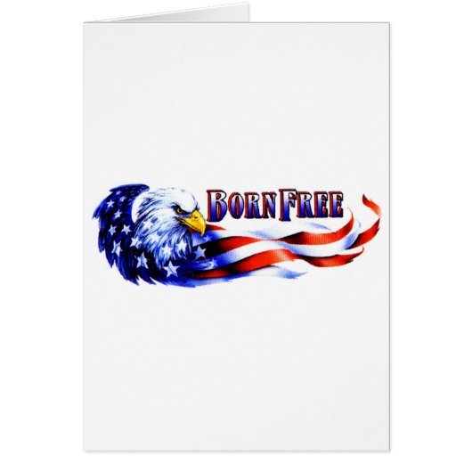 Born Free Bald Eagle And USA Flag Cards (Front)
