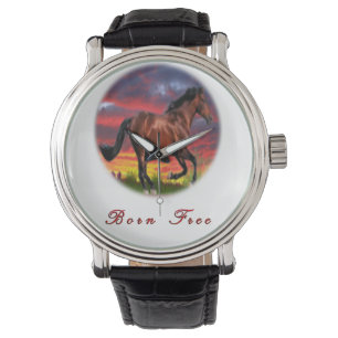 Born free horses watch
