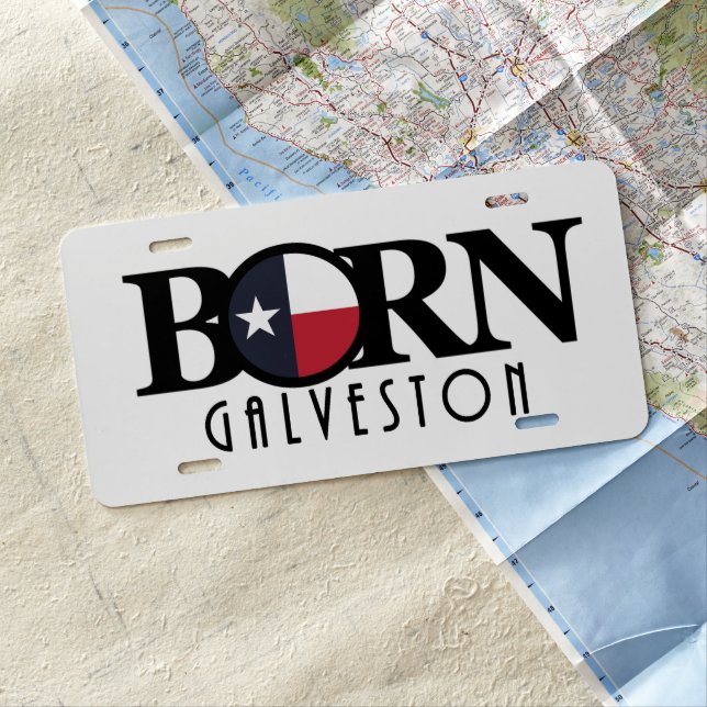 BORN Galveston License Plate (In Situ)