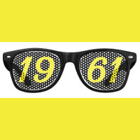 Born in 1961 65th birthday fun shades sunglasses