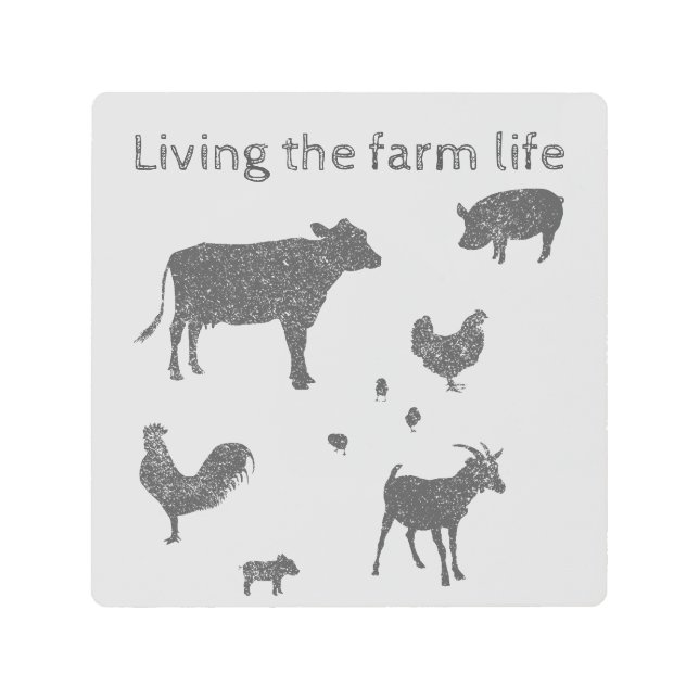 Born in a Barn Metal Print (Front)