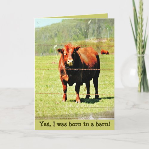 Born in a Barn Mothers Day Card