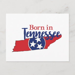 Born in Tennessee State Symbols Volunteer State Postcard