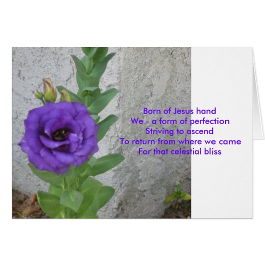 Born of Jesus Card (Front Horizontal)