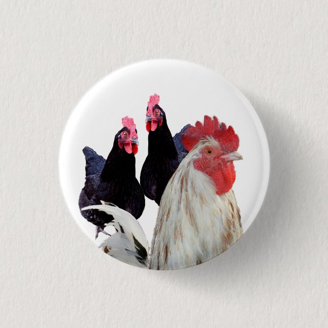 Born To Be Chickens, Badge Button (Front)