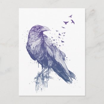 Born To Be Free Postcard by bsolti at Zazzle