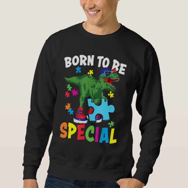 Born To Be Special Funny Dinosaur Puzzle Autism Aw Sweatshirt (Front)