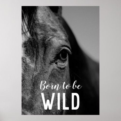 Born to be Wild Black  White Close_up Horse Eye Poster