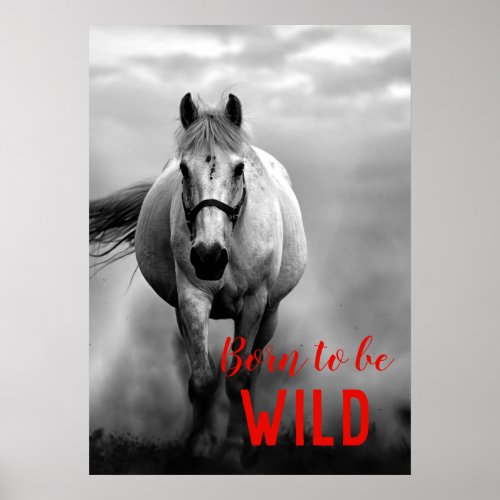 Born to be Wild Black  White Running Horse Poster