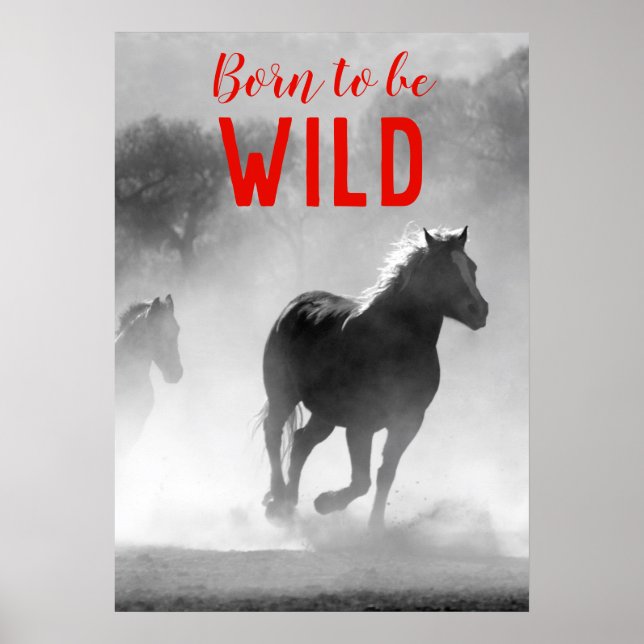 Born to be Wild Black & White Running Horses Poster (Front)