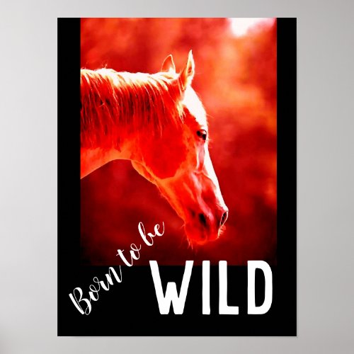 Born to be Wild Close_up Horse Poster