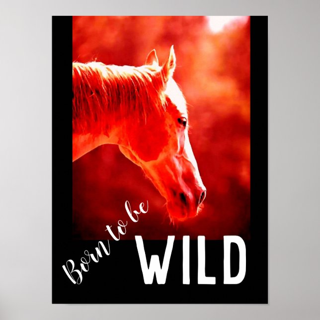 Born to be Wild Close-up Horse Poster (Front)