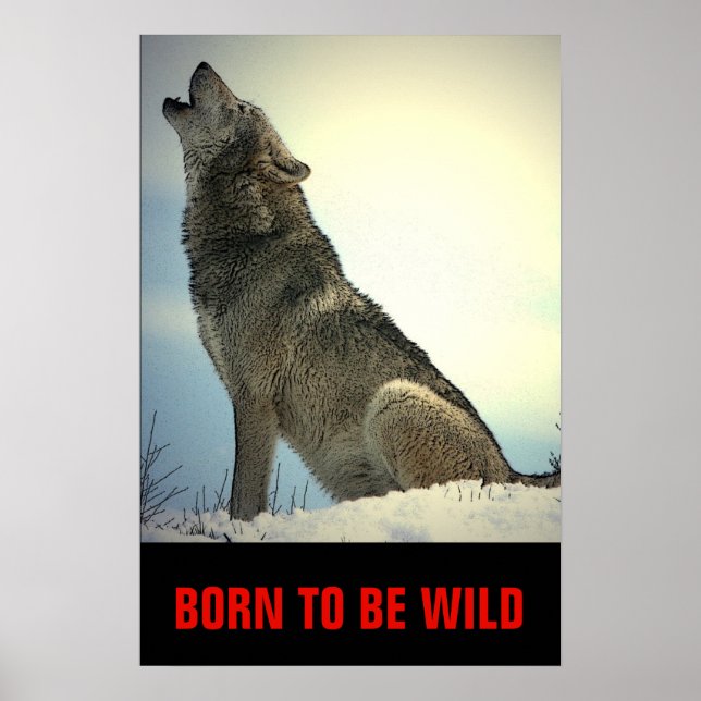 Born To Be Wild Motivational Wolf Howling Moon Poster (Front)