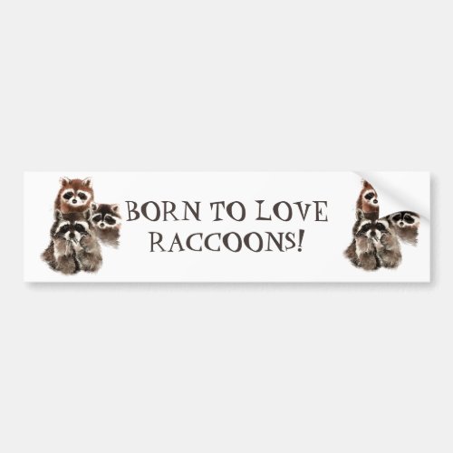 BORN TO LOVE RACCOONS FUNNY ANIMAL QUOTE BUMPER STICKER