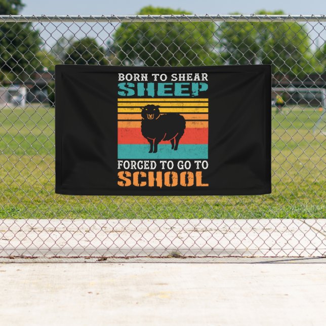 Born To Shear Sheep Forced To Go To School Gift Banner (Insitu)