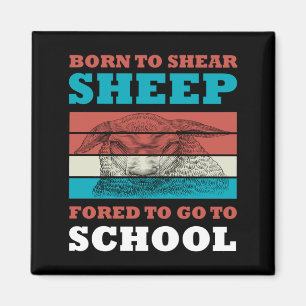 Born To Shear Sheep Forced To Go To School Goat Magnet